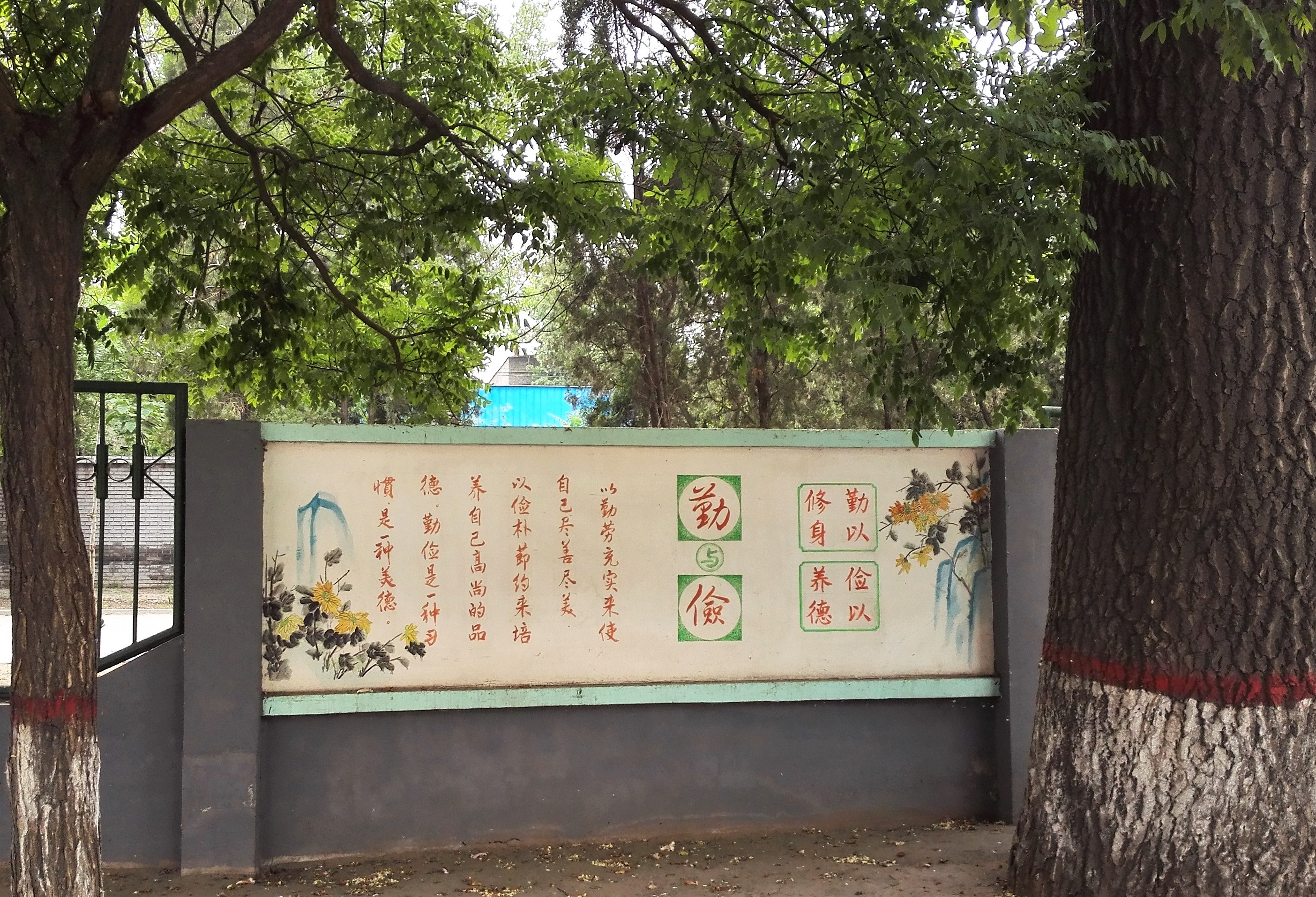 13.校園文化，根深葉茂.jpg